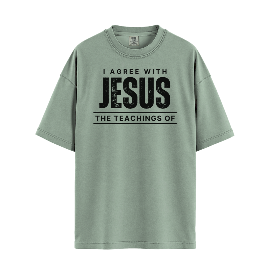 I Agree With Jesus T-shirt