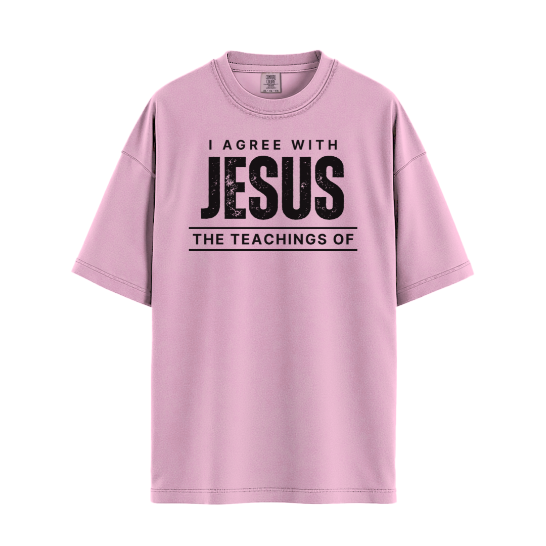 I Agree With Jesus T-shirt