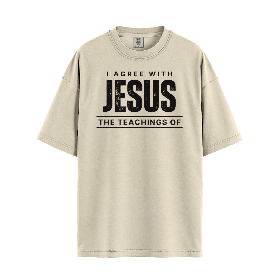 I Agree With Jesus T-shirt