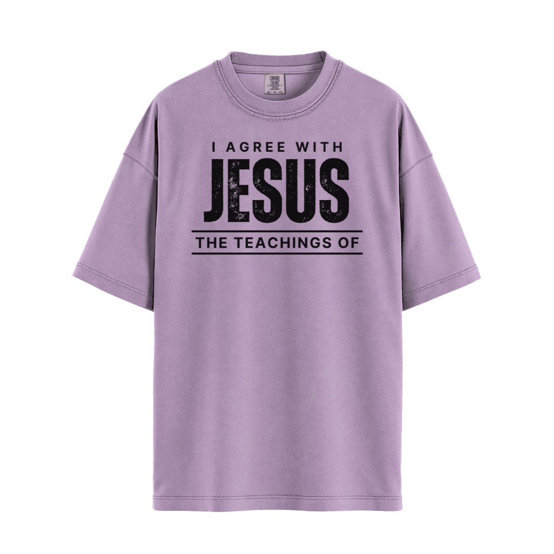 I Agree With Jesus T-shirt