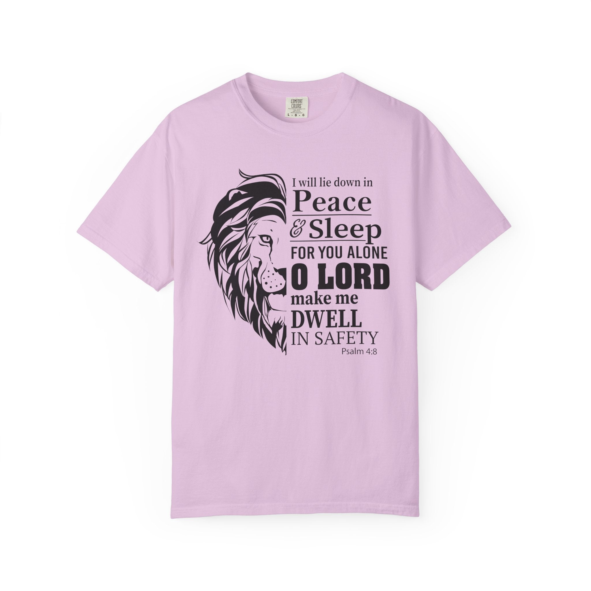 Dwell in  Safety T-shirt