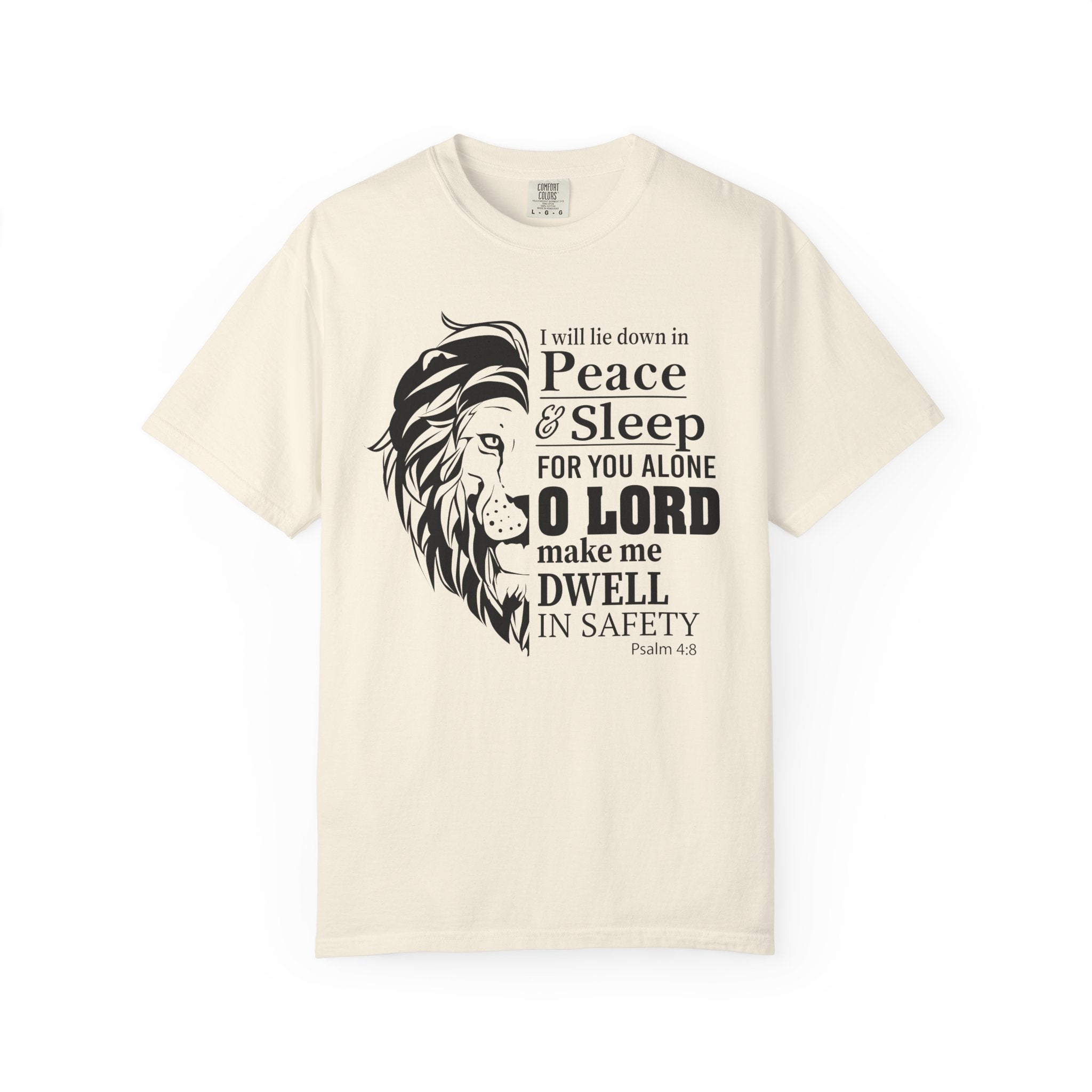Dwell in  Safety T-shirt