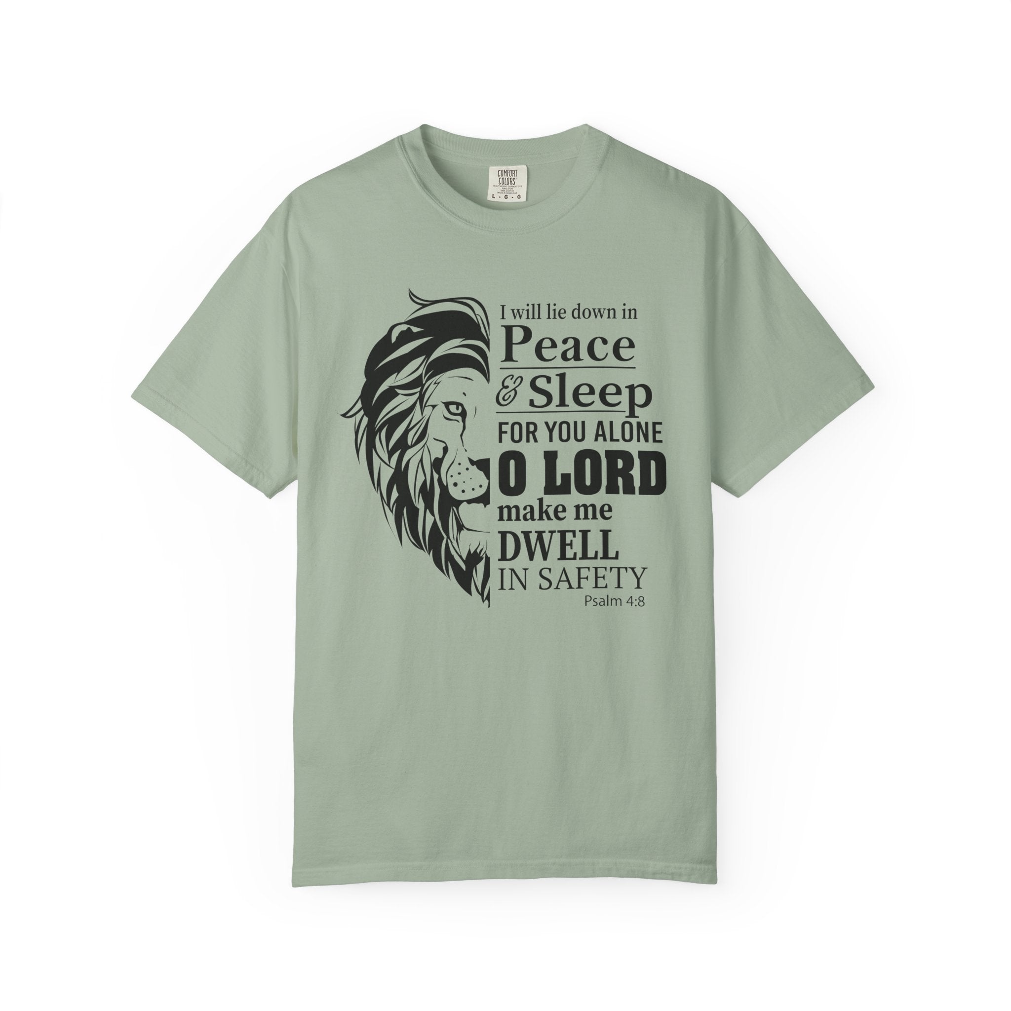 Dwell in  Safety T-shirt